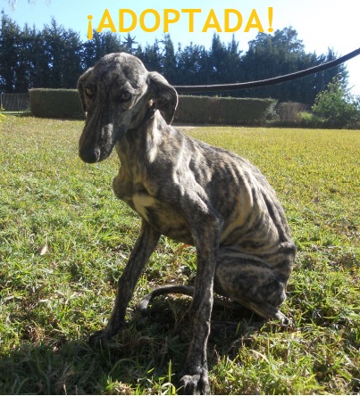 ¡ADOPTADA!